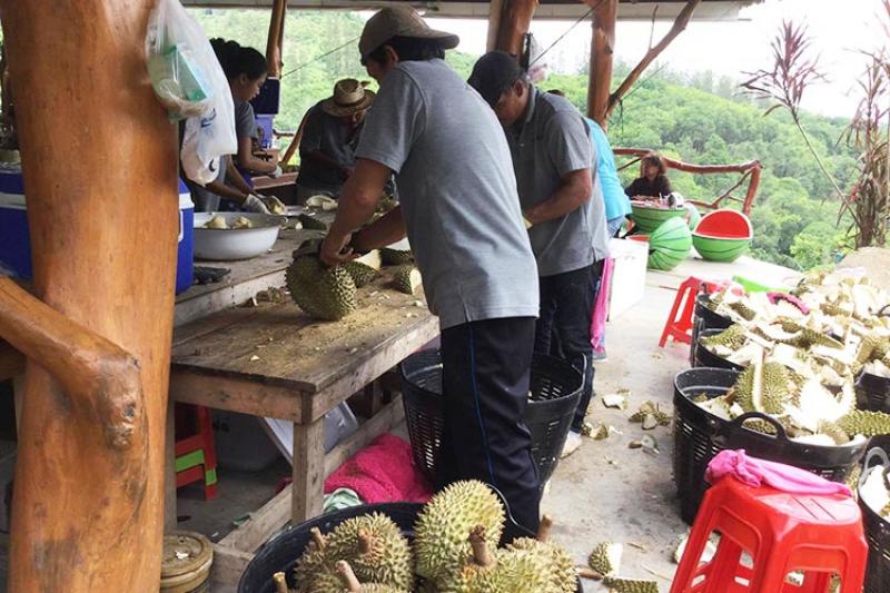 Hektisk aktivitet med å tilberede durian.