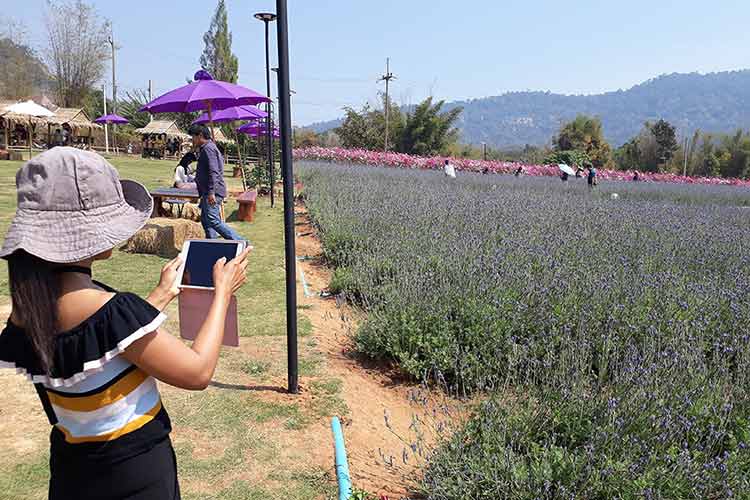 Chateau Chili i Wang Nam Khiao har nettopp åpnet blomsterparken