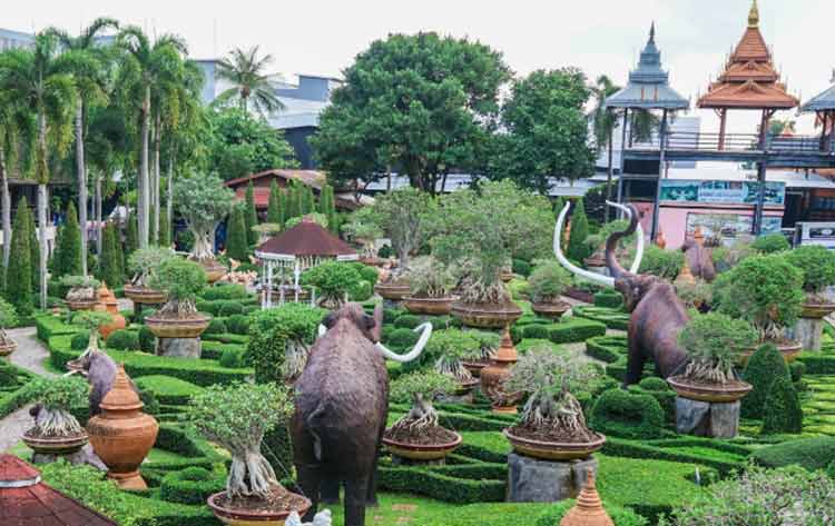 Nong Nooch